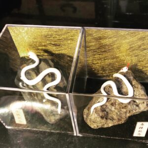 ミニチュア蛇石