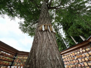 秋保神社