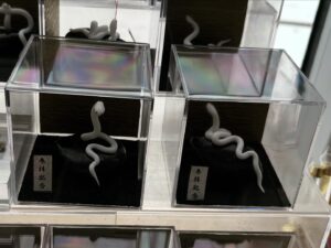 金蛇水神社
