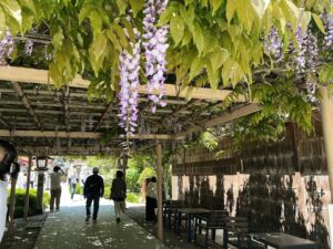 金蛇水神社
