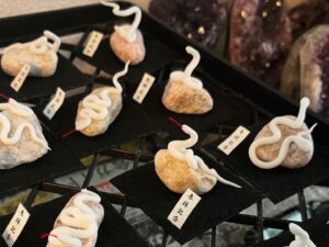 ミニチュア蛇石