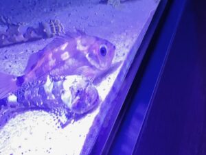水族館