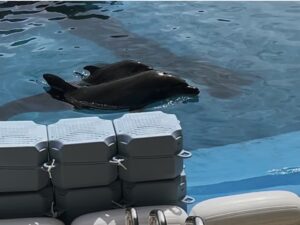 水族館