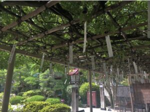 金蛇水神社
