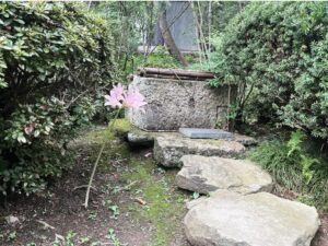 金蛇水神社