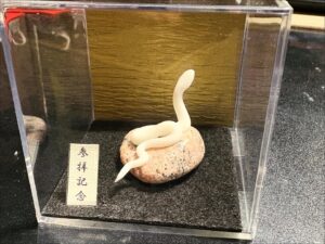 ミニチュア蛇石