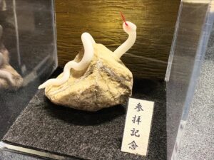 ミニチュア蛇石