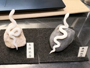 ミニチュア蛇石