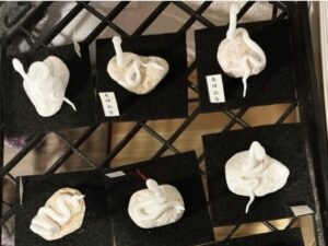 ミニチュア蛇石