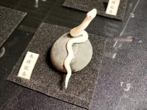 ミニチュア蛇石