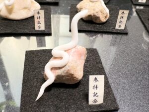 ミニチュア蛇石