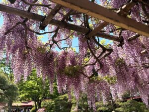 金蛇水神社