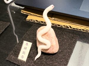 ミニチュア蛇石