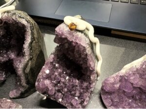 ドーム