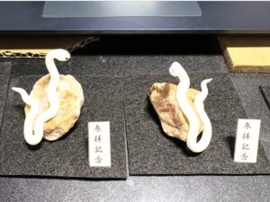 ミニチュア蛇石