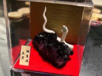 白蛇誕生石