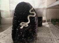 宝石蛇石
