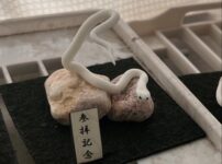ミニチュア蛇石