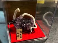 白蛇誕生石