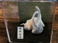 ミニチュア蛇石