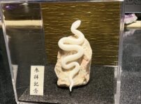 ミニチュア蛇石