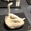 ミニチュア蛇石