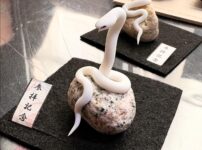 ミニチュア蛇石