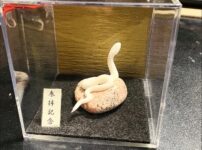 ミニチュア蛇石