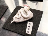 ミニチュア蛇石