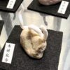 ミニチュア蛇石