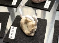 ミニチュア蛇石