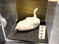 ミニチュア蛇石