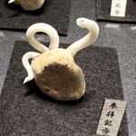 ミニチュア蛇石