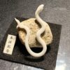 ミニチュア蛇石