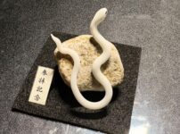 ミニチュア蛇石