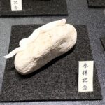 ミニチュア蛇石