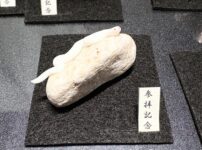 ミニチュア蛇石