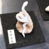 ミニチュア蛇石