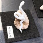 ミニチュア蛇石