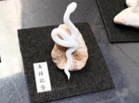 ミニチュア蛇石