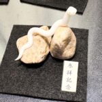 ミニチュア蛇石