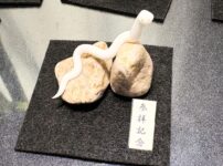 ミニチュア蛇石
