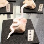 ミニチュア蛇石