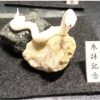 ミニチュア蛇石