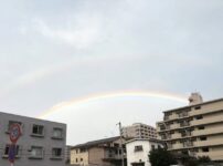 虹